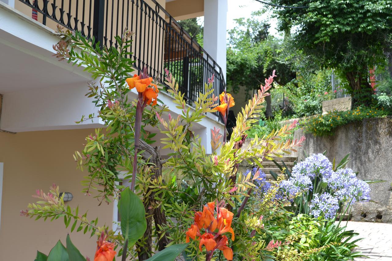 Virginia Studios Benitses  Exterior foto